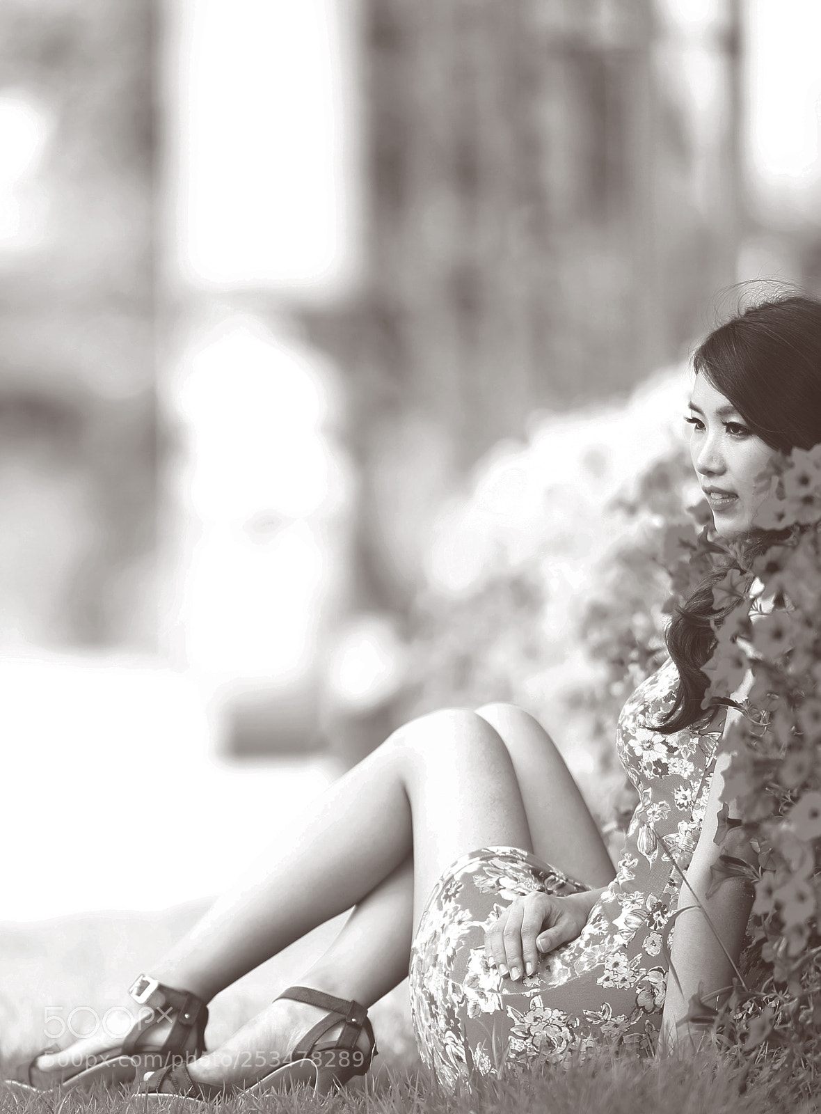 Canon EOS-1D X sample photo. Shot206 photography