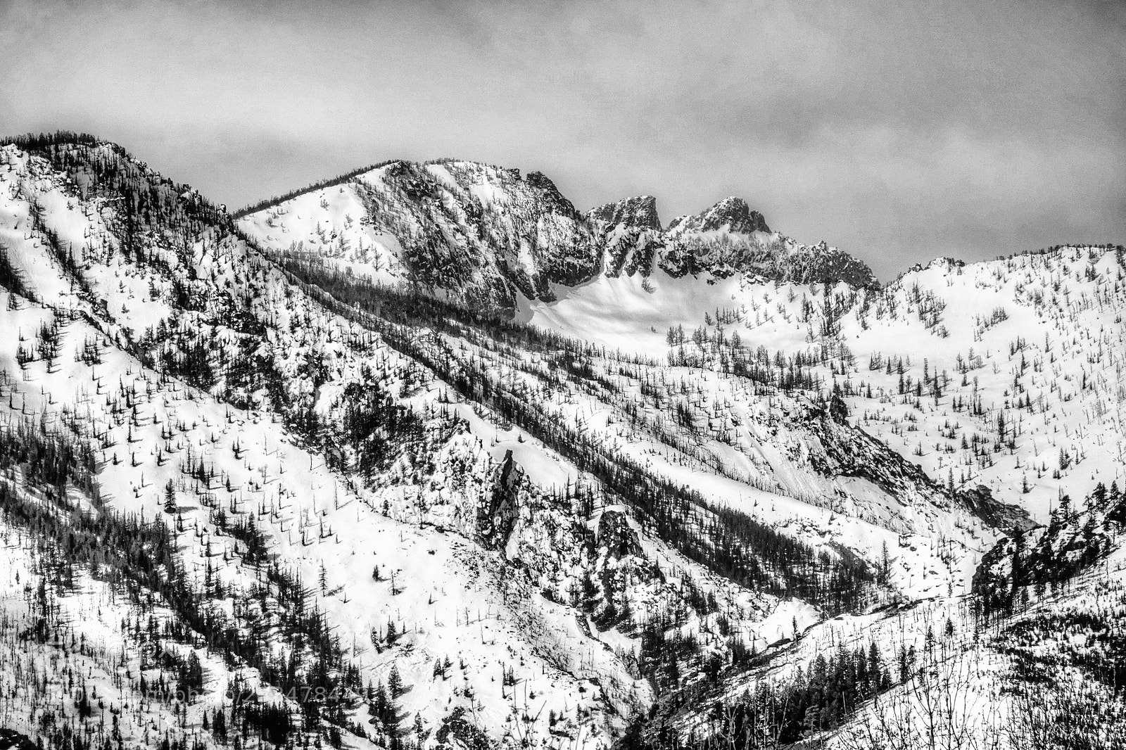 Sony Cyber-shot DSC-RX10 IV sample photo. Aretes above canyon creek photography