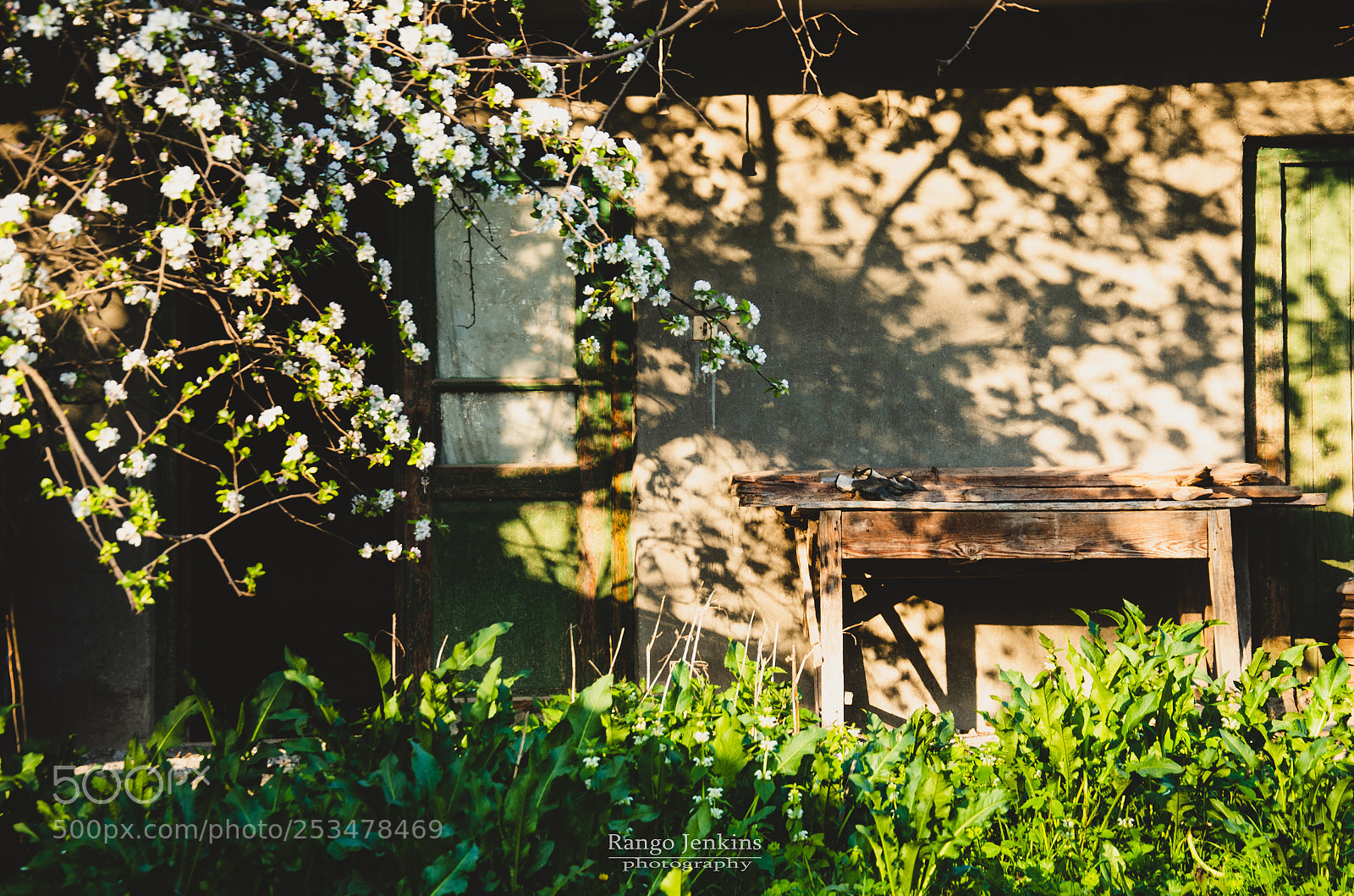 Nikon D7000 sample photo. Old cellar photography