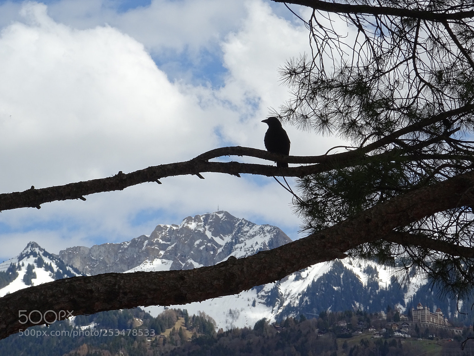 Sony DSC-HX60V sample photo. Un corbeau sur un photography