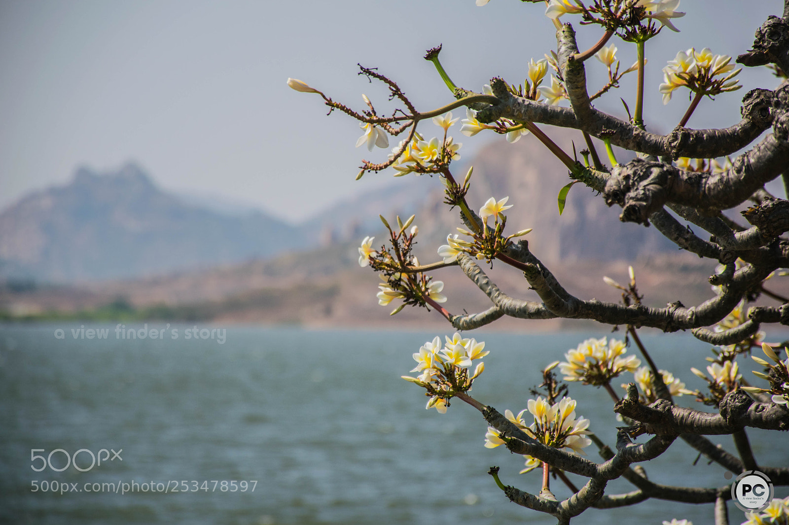 Nikon D5300 sample photo. Lake photography