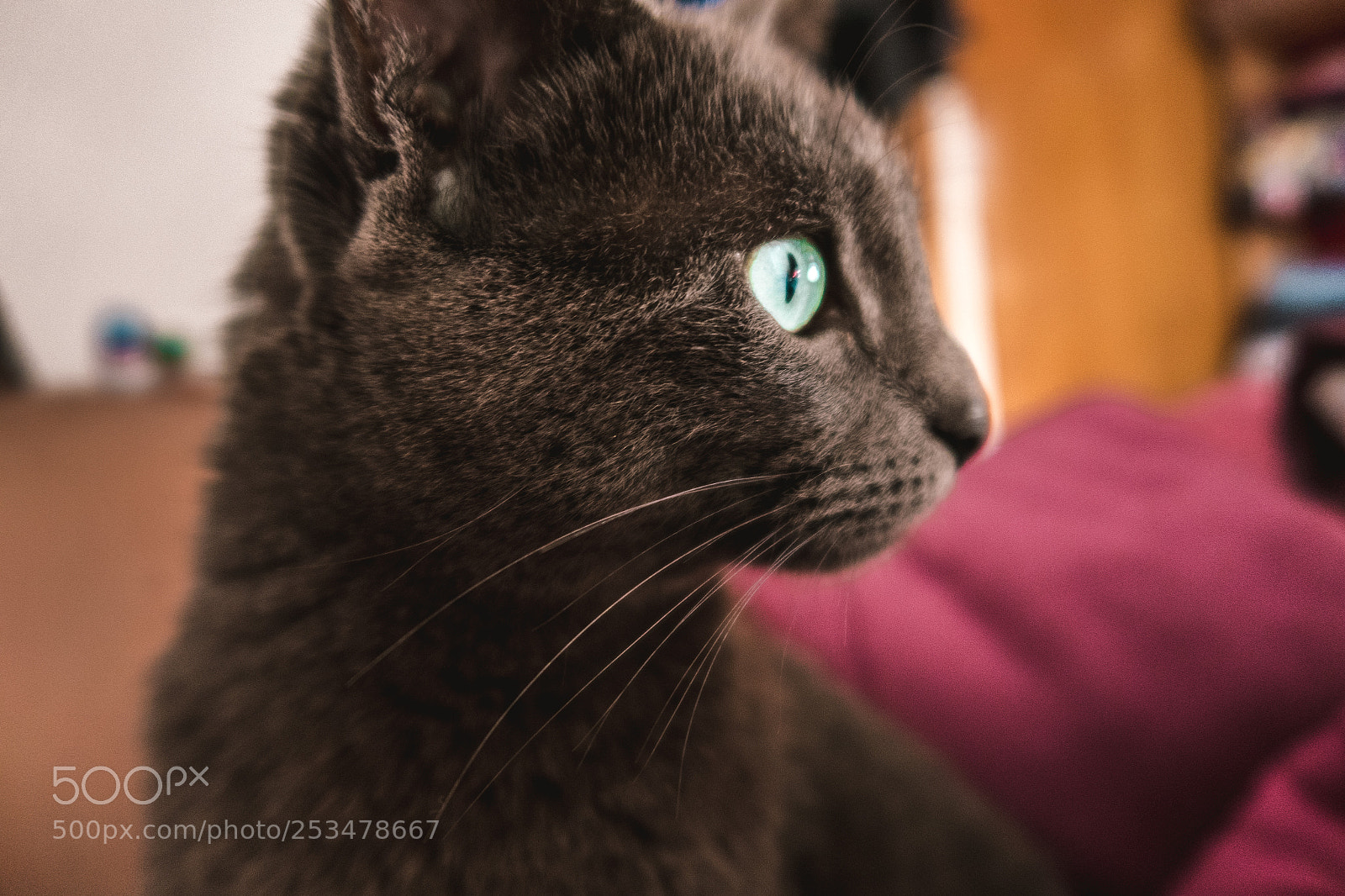 Canon PowerShot G7 X Mark II sample photo. Desenfoque [15/52] photography