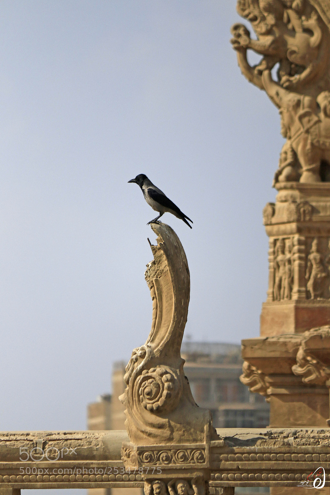 Canon EOS 70D sample photo. Ht photography