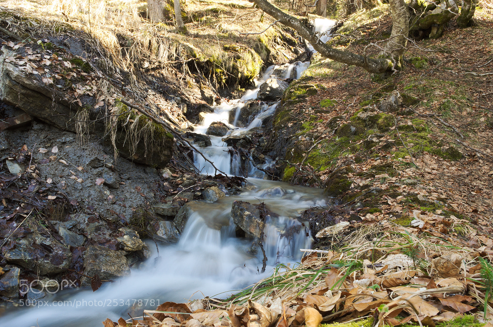 Nikon D3200 sample photo. Stunning creek photography