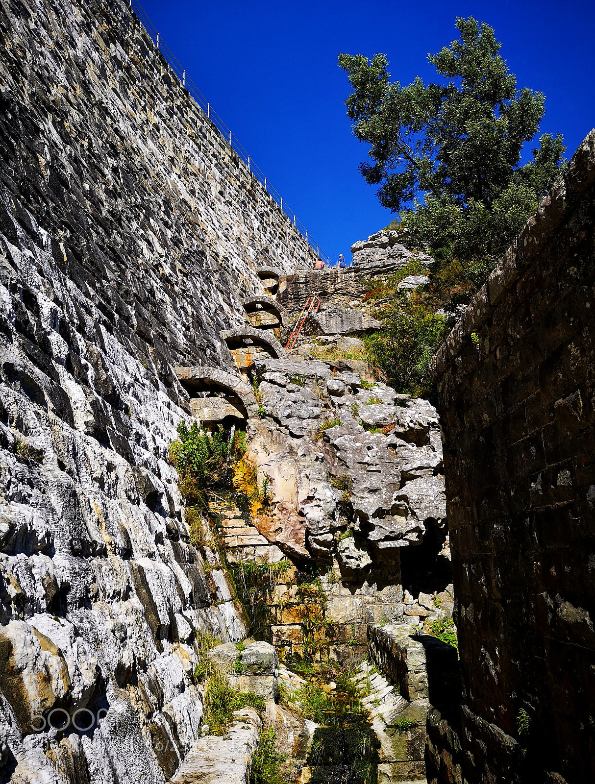 HUAWEI P20 sample photo. Climb photography