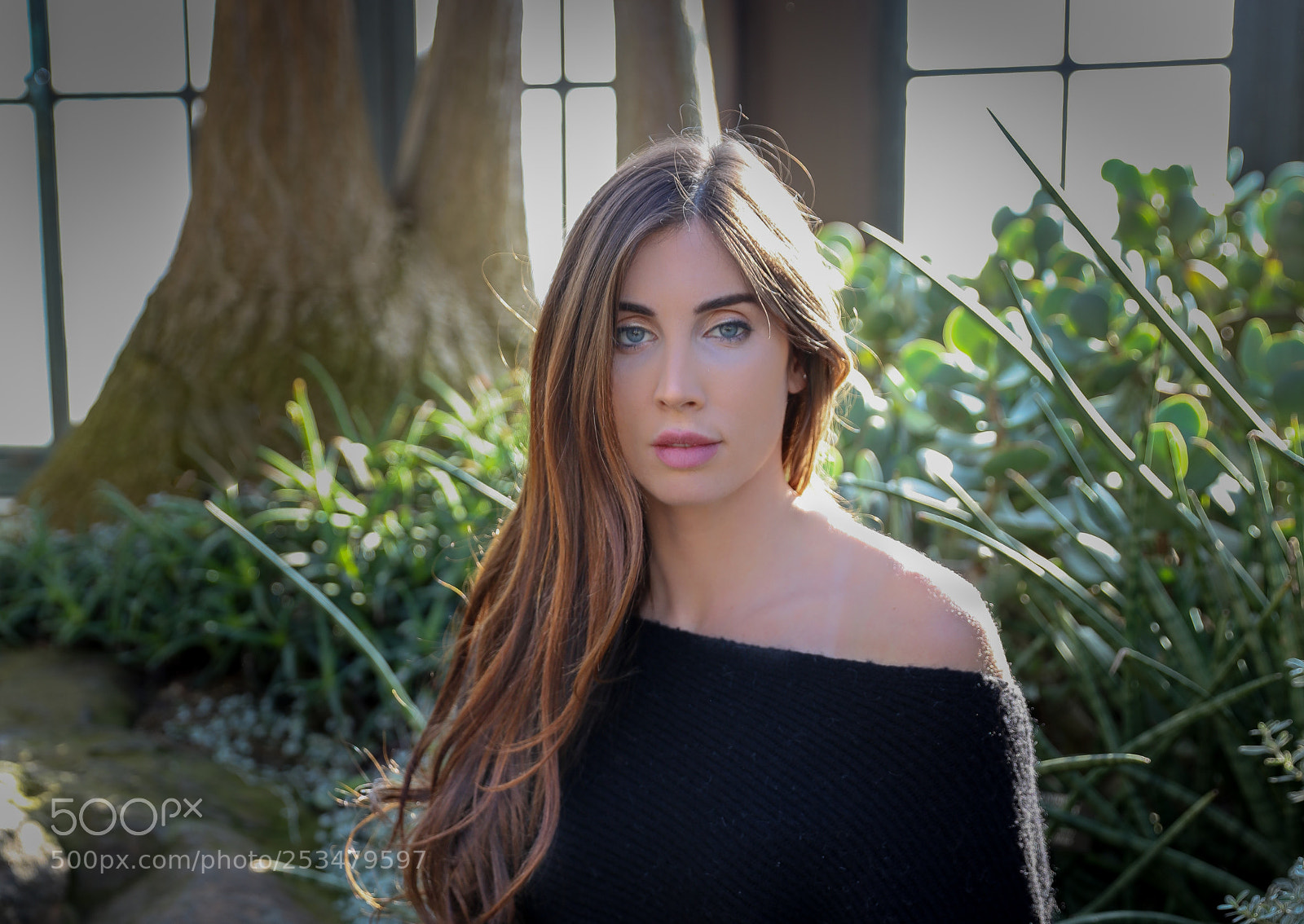 Canon EOS 5DS R sample photo. Khari photography