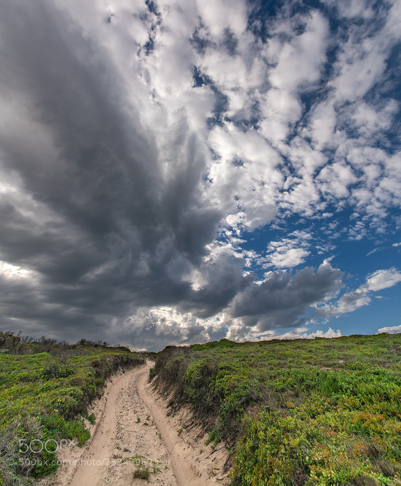 Sony a7R II sample photo. The beach road photography