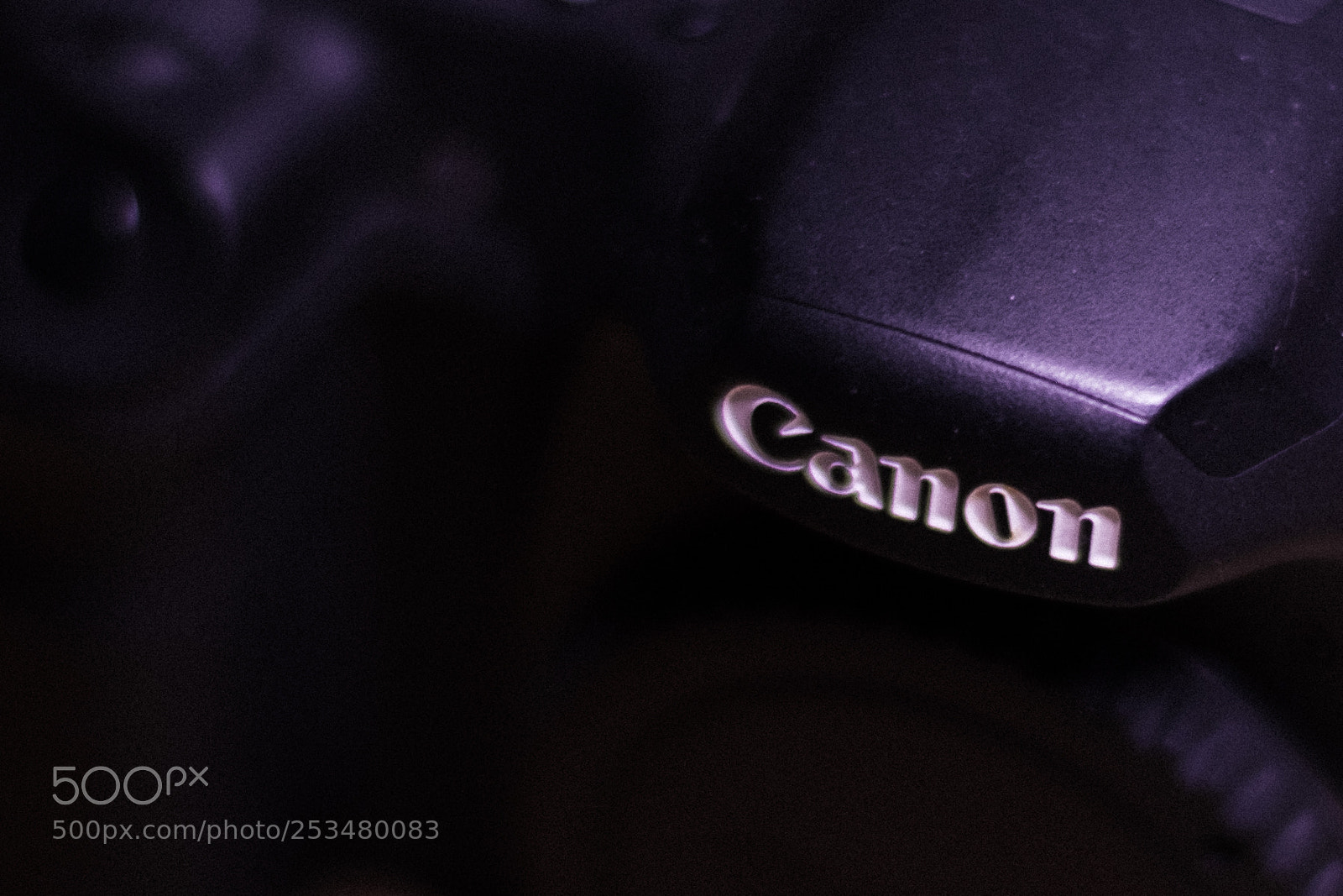 Fujifilm X-E2S sample photo. Retired @ home photography