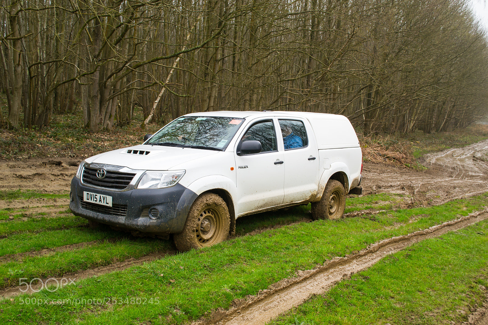 Nikon D3100 sample photo. True grip off road photography