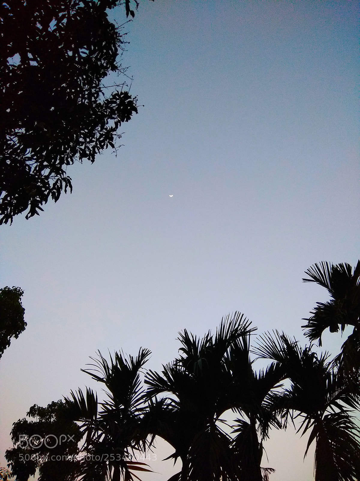 Xiaomi Redmi Note 4 sample photo. Far away.. photography