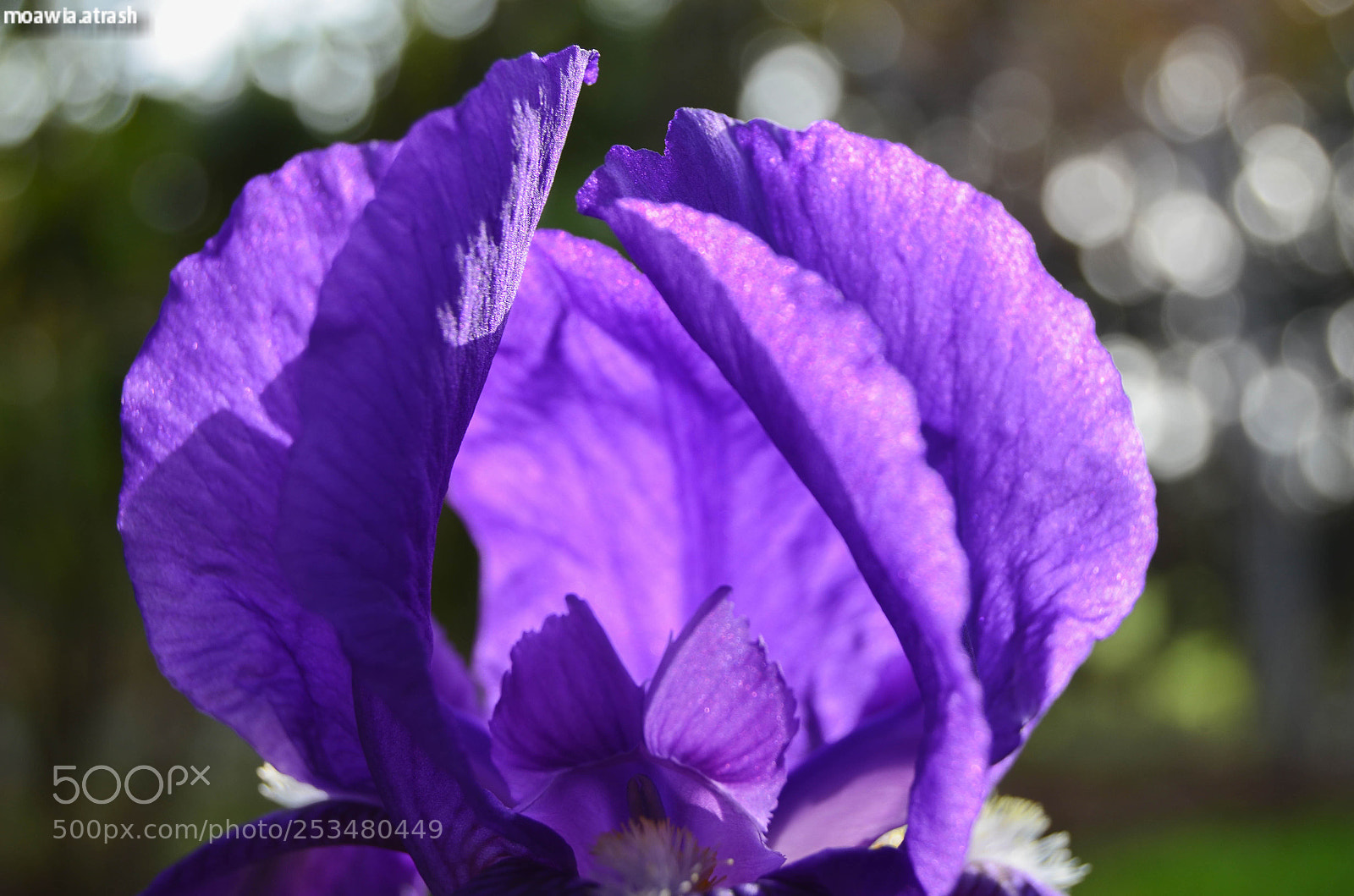 Nikon D5100 sample photo. Untitled photography