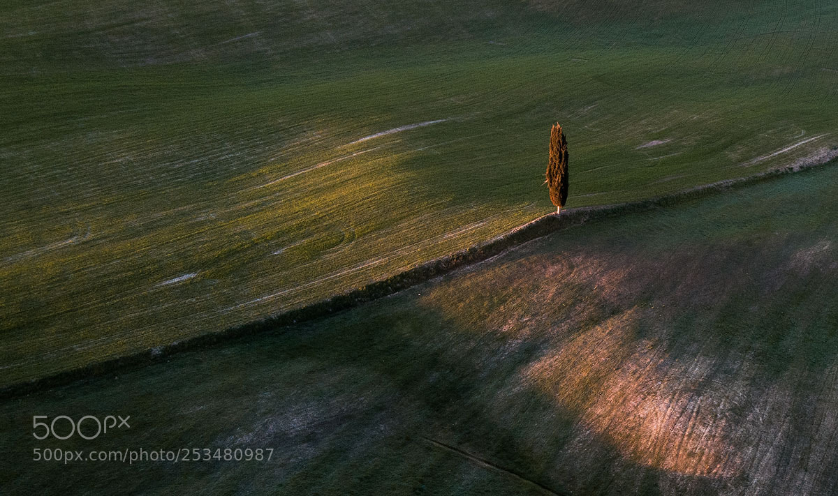DJI FC220 sample photo. Loner photography