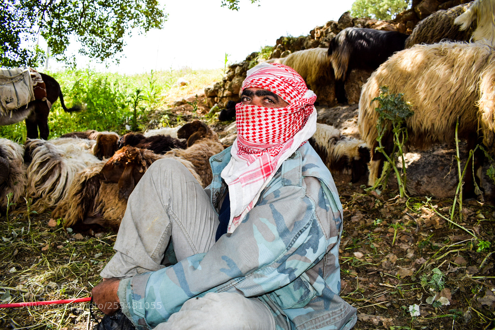 Nikon D5300 sample photo. Middle east photography