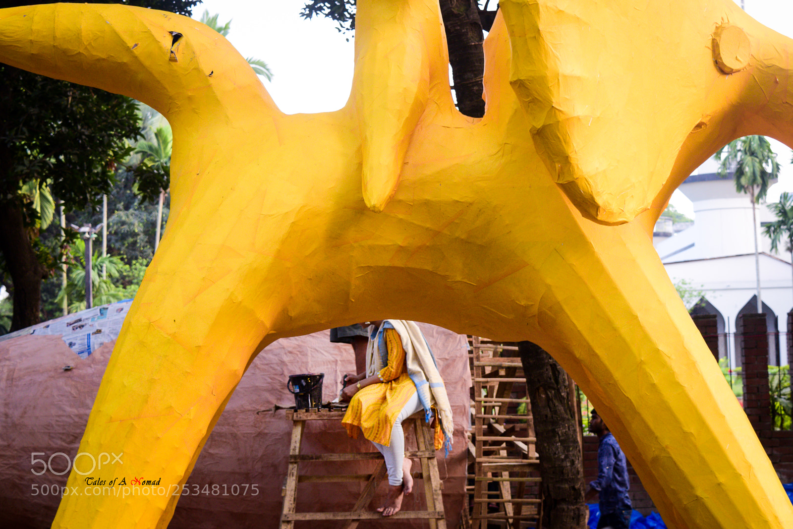Nikon D5300 sample photo. Behind yellow photography