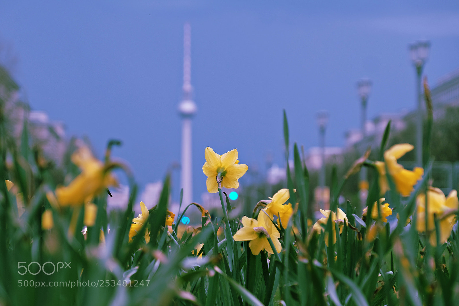 Fujifilm X-T1 sample photo. Urban spring photography