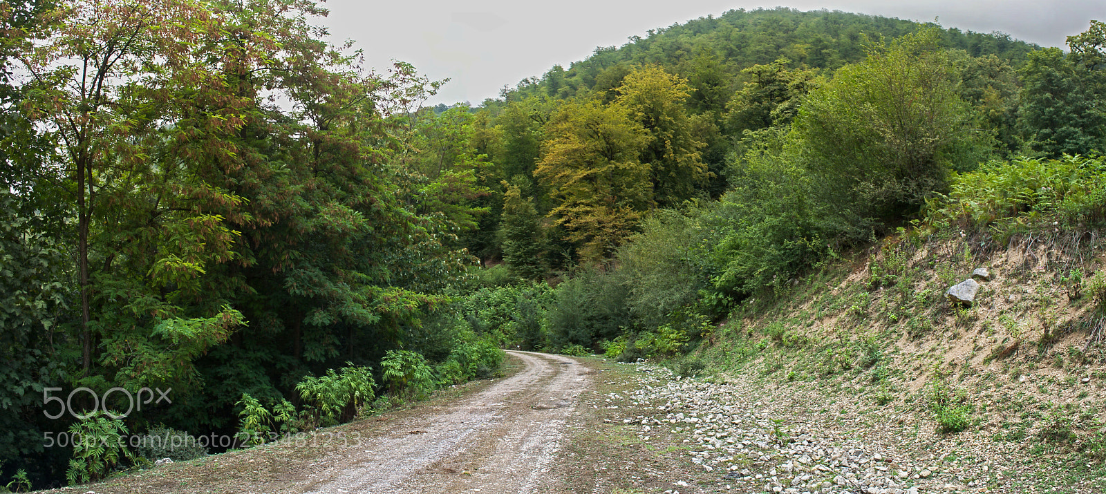 Nikon D5100 sample photo. "chal siah" village photography