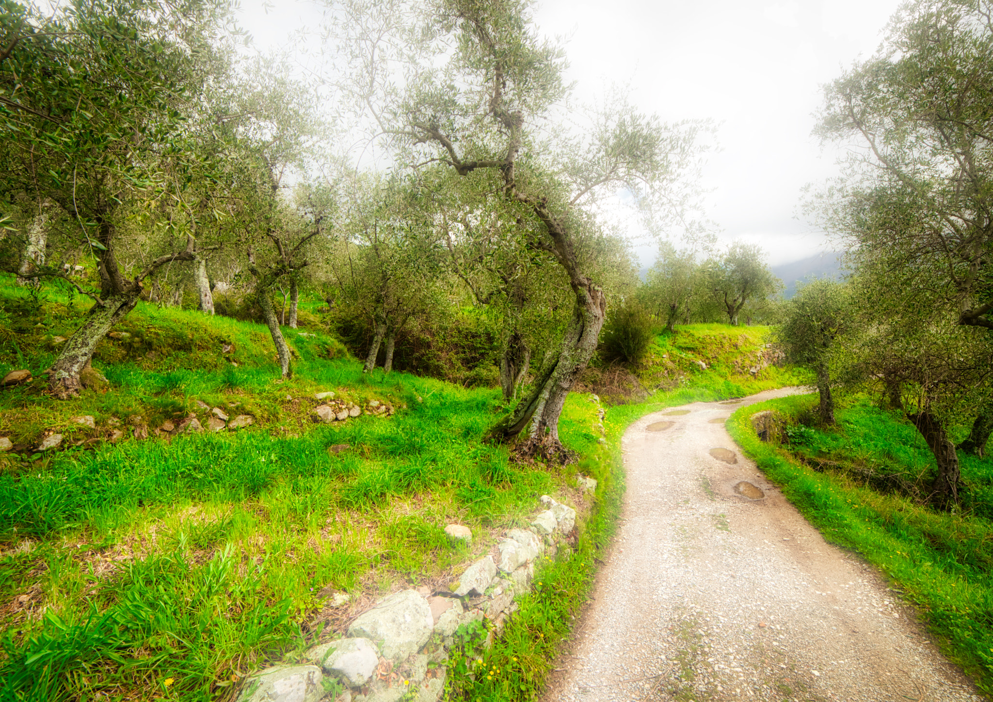 Nikon D600 + Samyang 14mm F2.8 ED AS IF UMC sample photo. Landscape photography