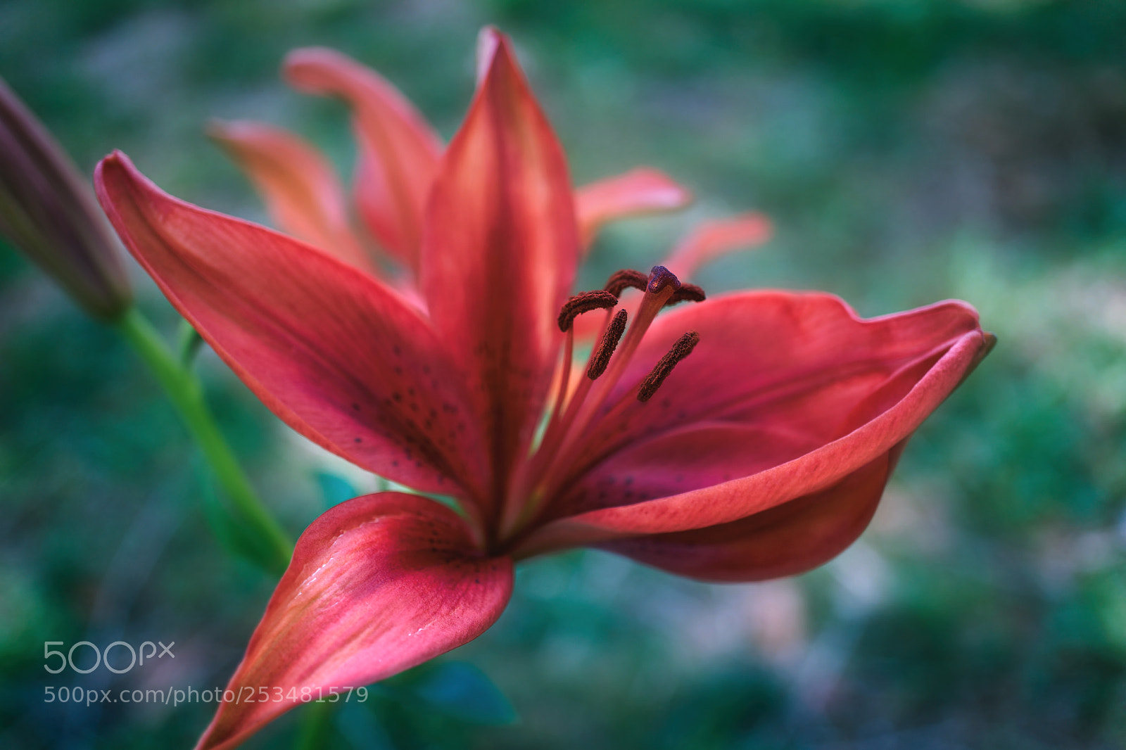 Sony a6000 sample photo. * photography