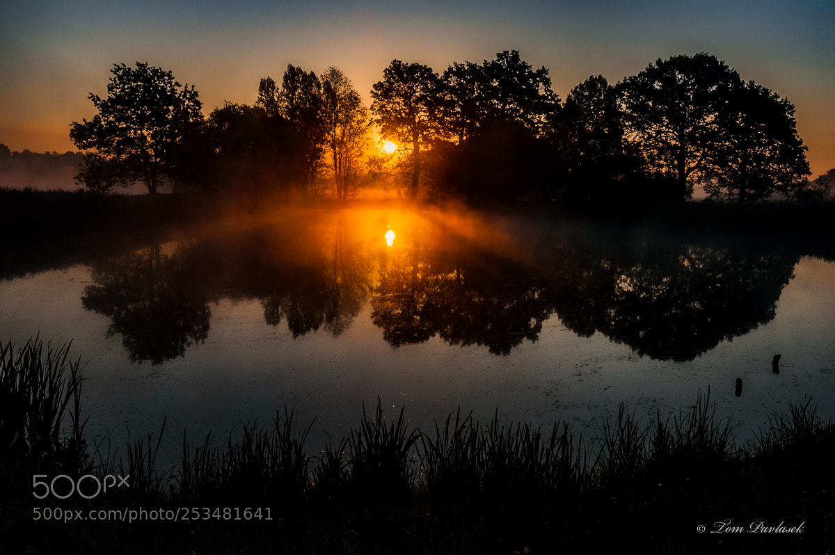 Nikon D70s sample photo. Dawned near pond photography