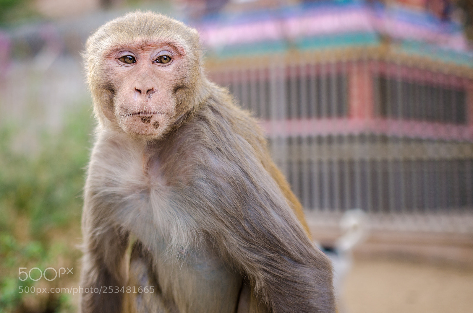 Nikon D7000 sample photo. Thoughtful photography