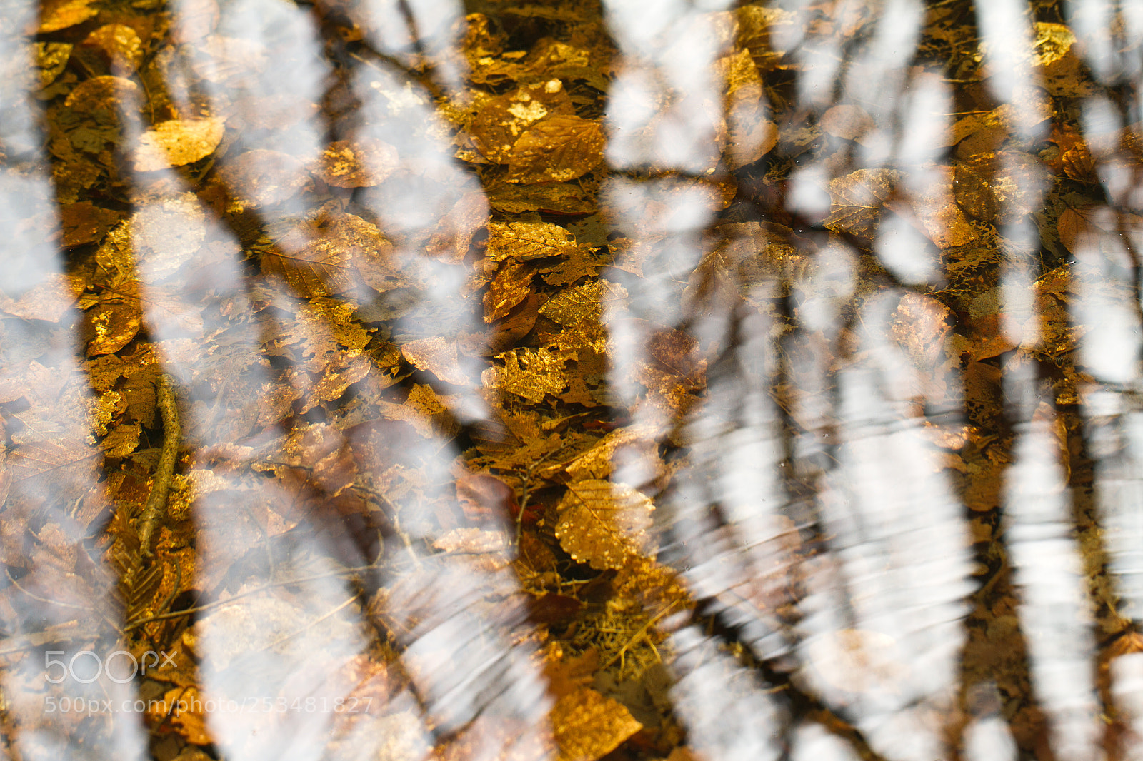 Canon EOS 7D sample photo. Reflection photography