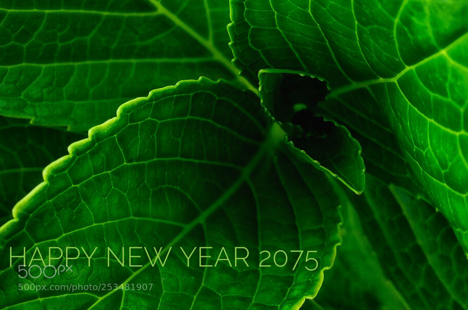 Apple iPhone 5s sample photo. Happy new year 2075 !!! photography