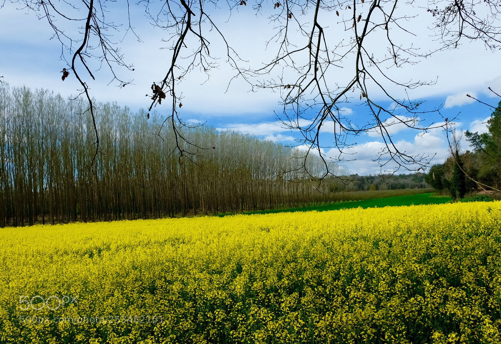 Fujifilm X-T2 sample photo. Spring colors. photography