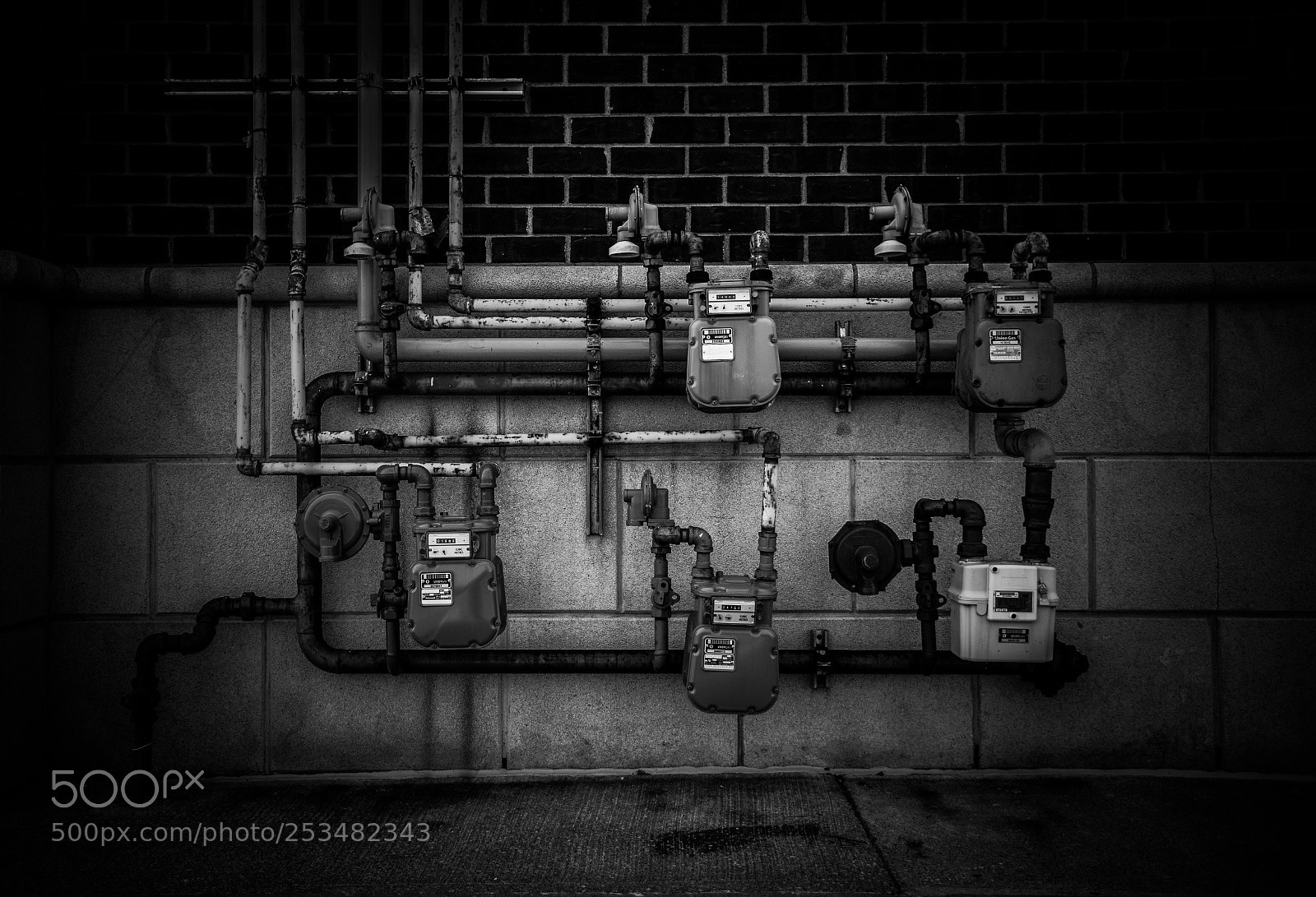 Nikon D500 sample photo. Gas. windsor, on.  photography