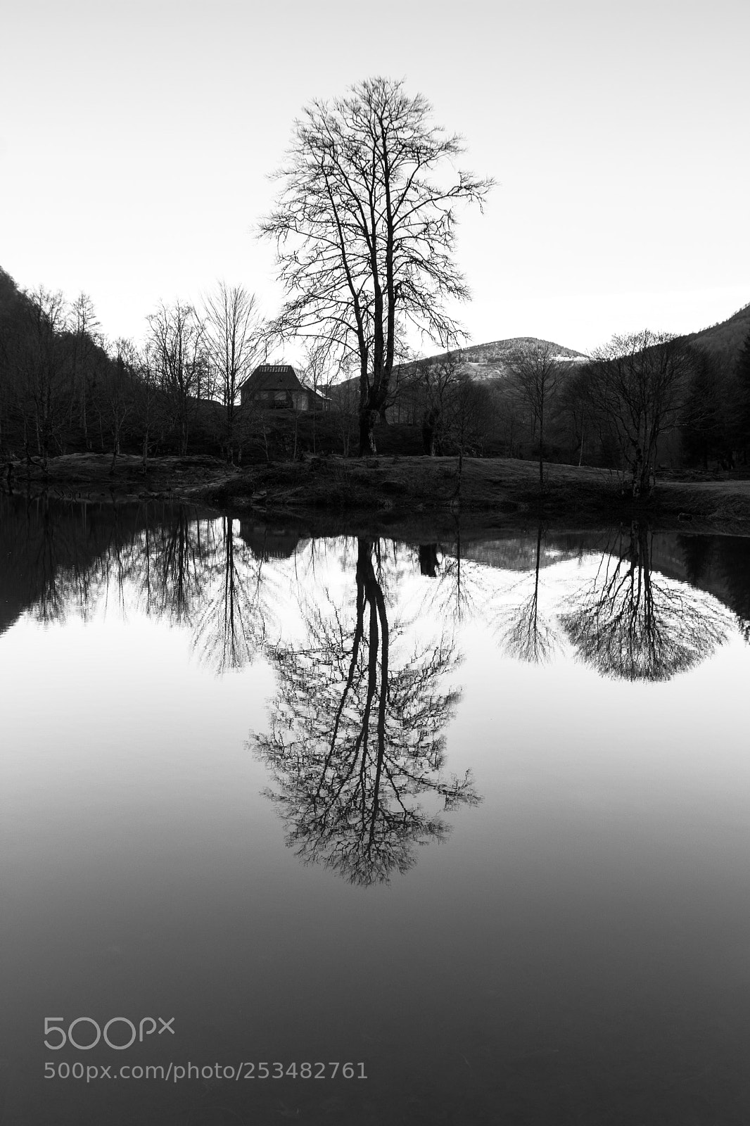 Nikon D7200 sample photo. Mirror photography