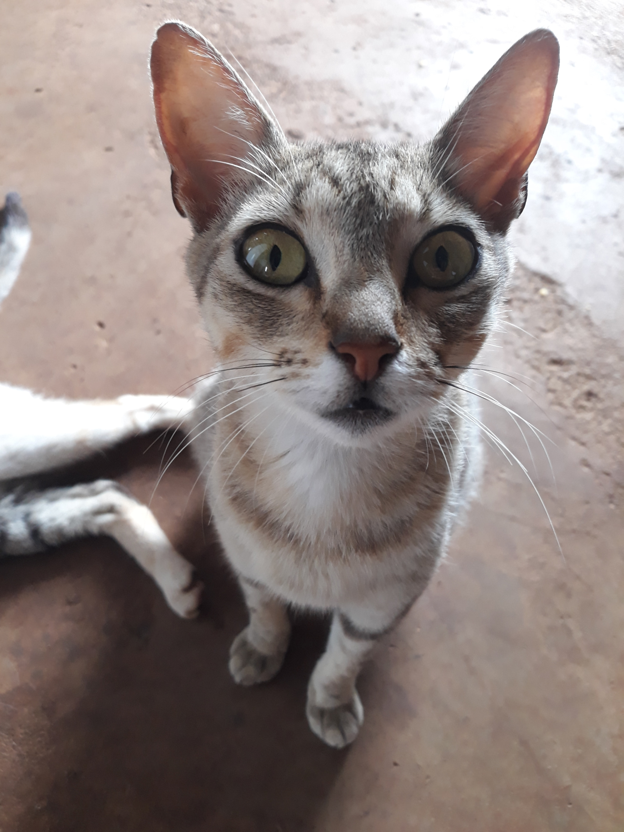 Samsung Galaxy J5 Pro sample photo