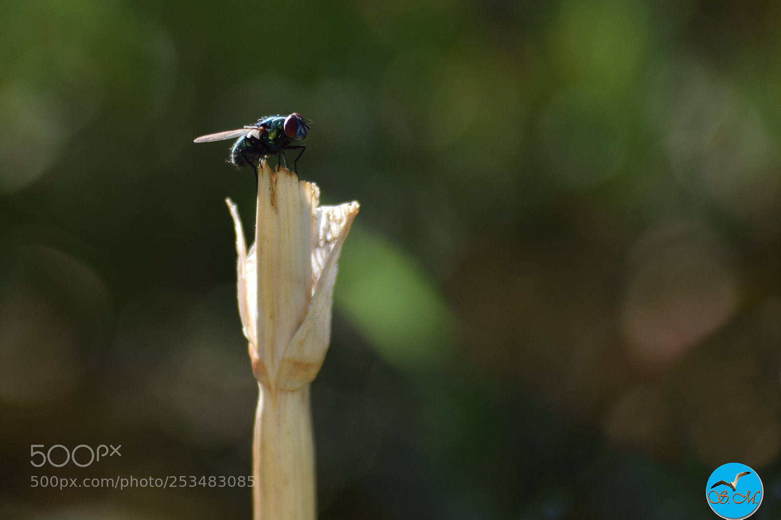 Nikon D3300 sample photo. Petit repos ! photography