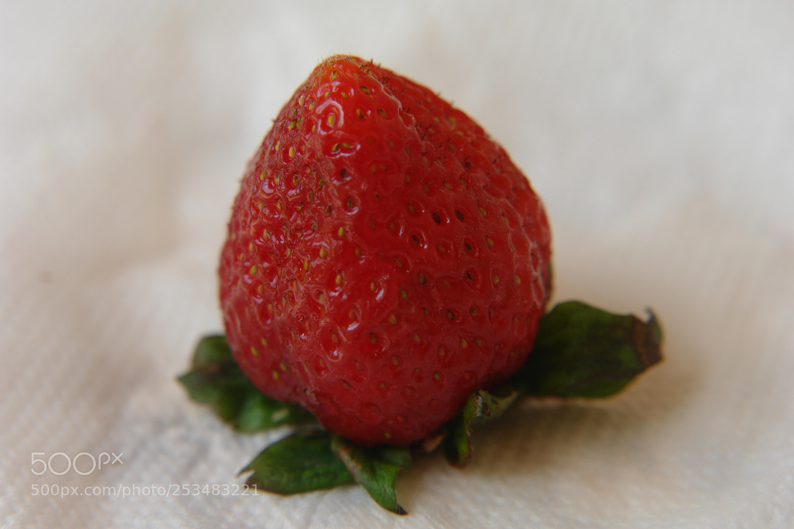 Sony DSC-R1 sample photo. Untitled photography