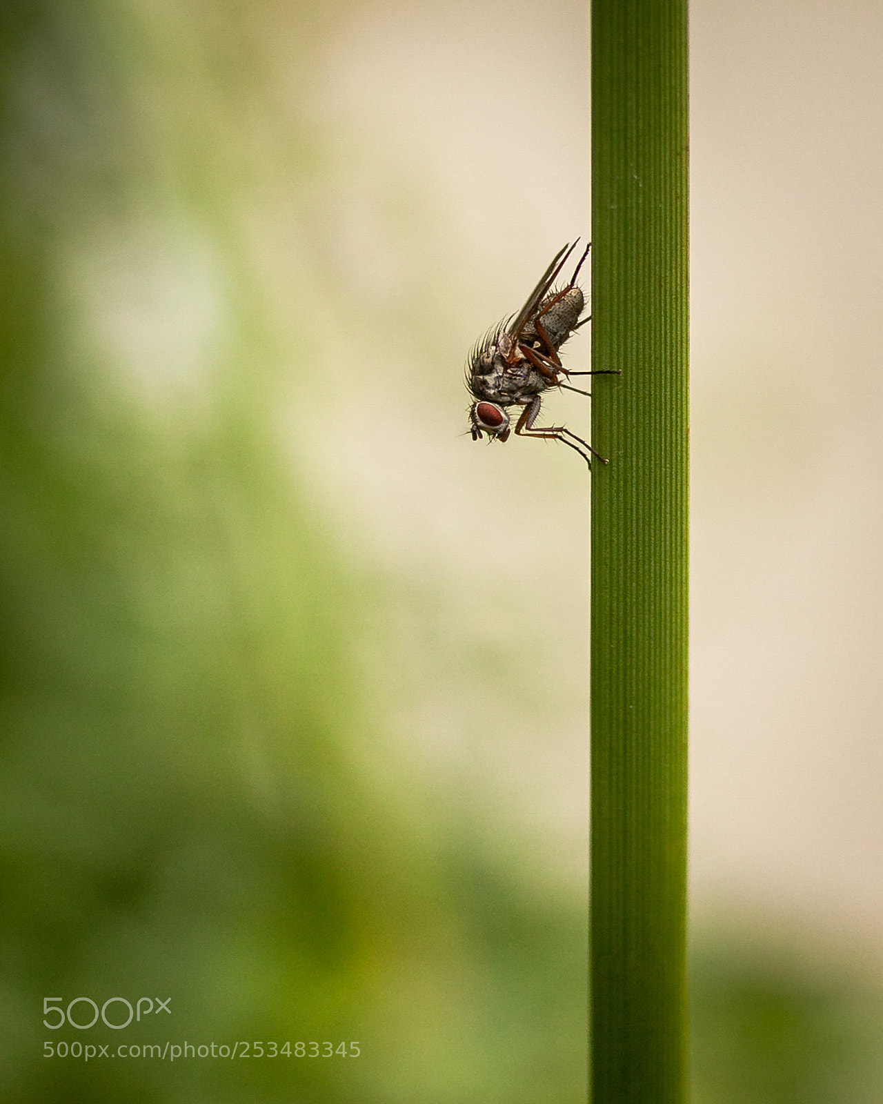 Canon EOS 5D Mark II sample photo. Robotic photography