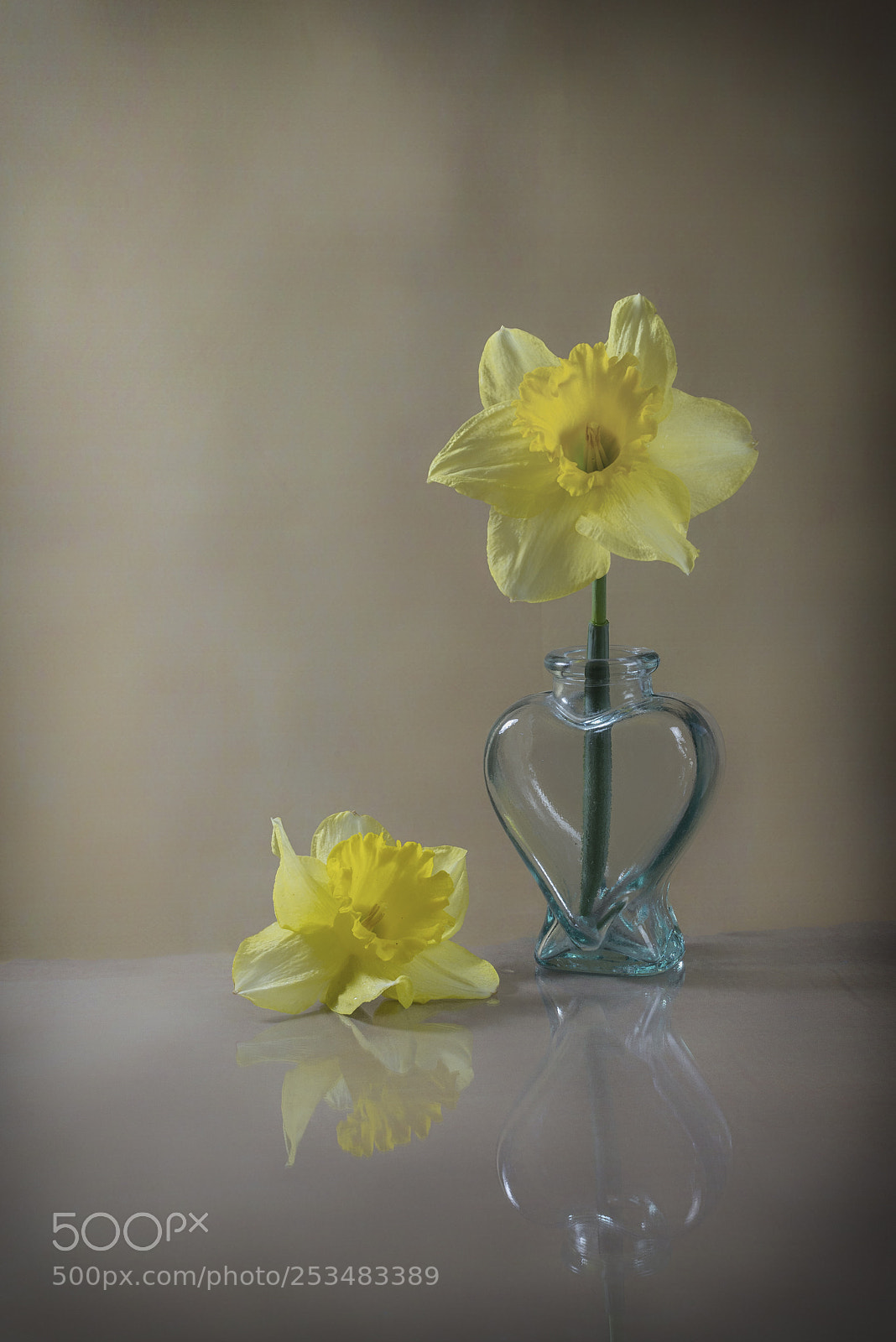 Nikon D600 sample photo. Coeur de jonquilles photography