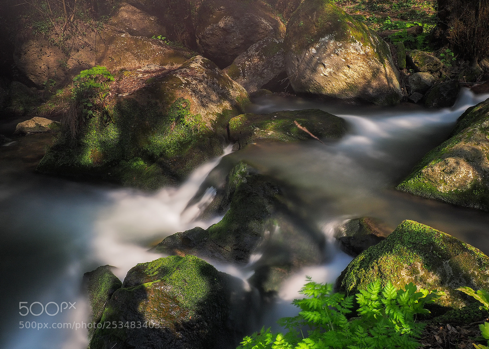 Olympus OM-D E-M10 II sample photo. Flowing light photography