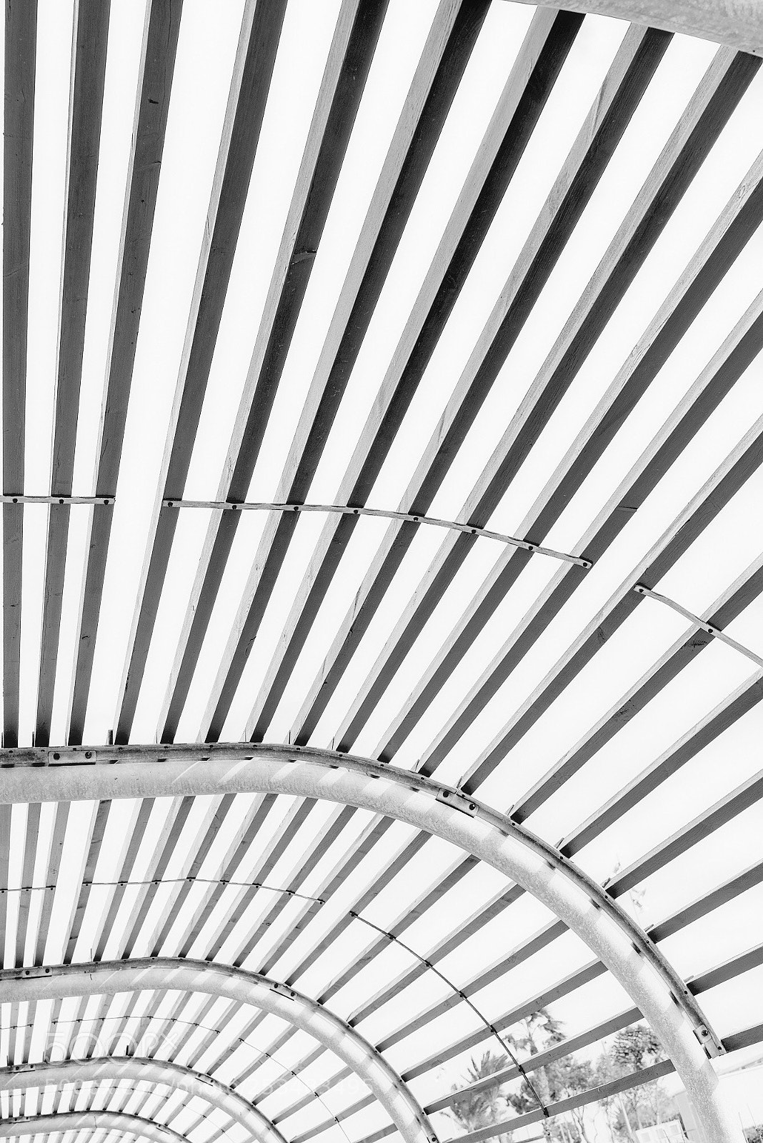 Nikon D800 sample photo. Architecture b&w photography