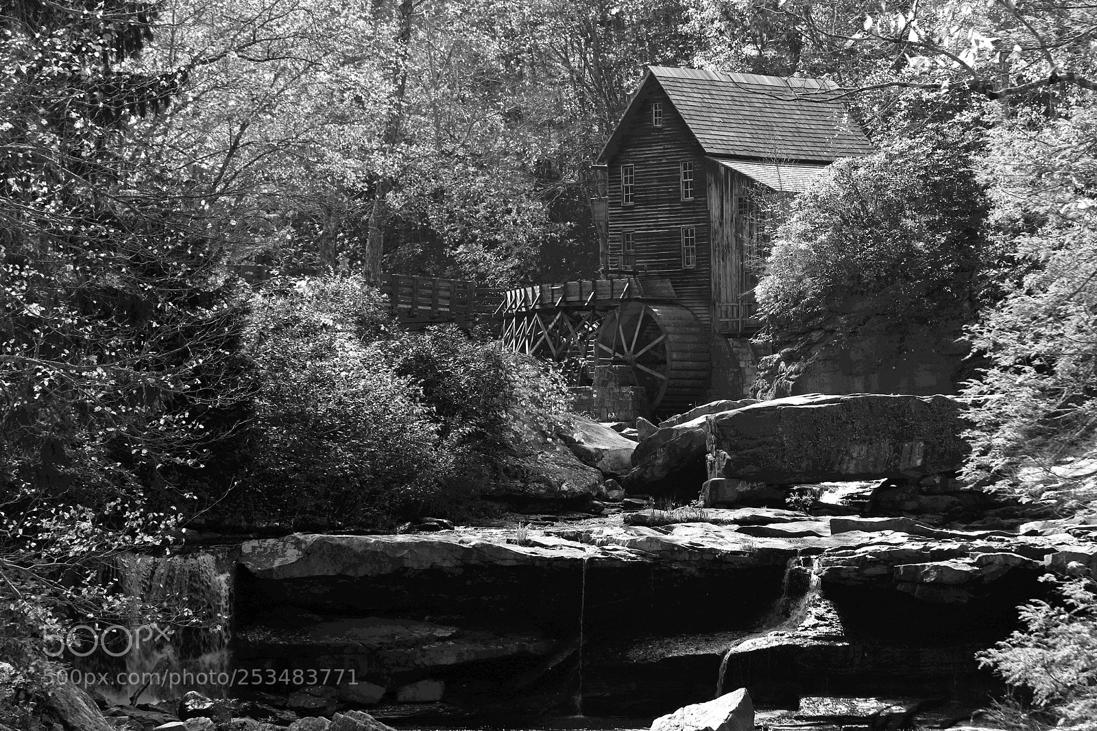 Canon EOS 5D Mark IV sample photo. Babcock in mono photography