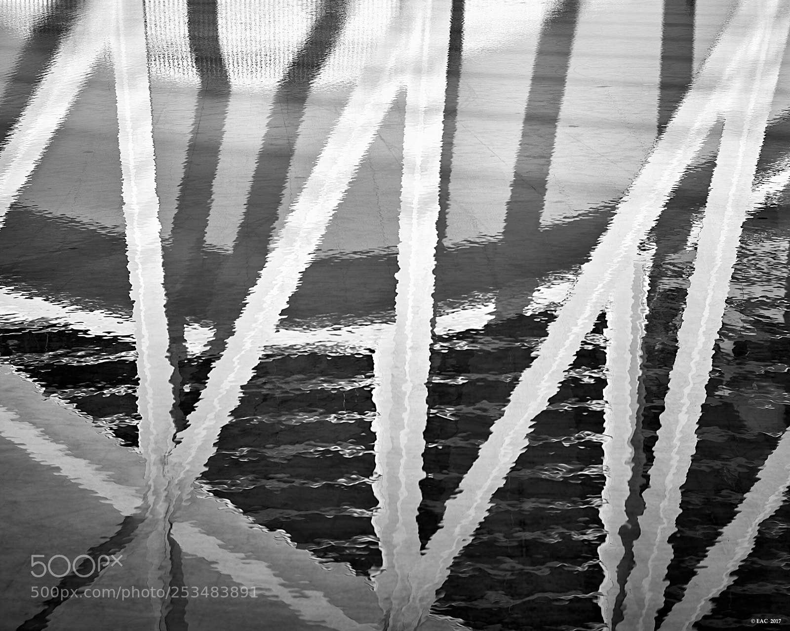 Nikon D800 sample photo. Architecture b&w  photography