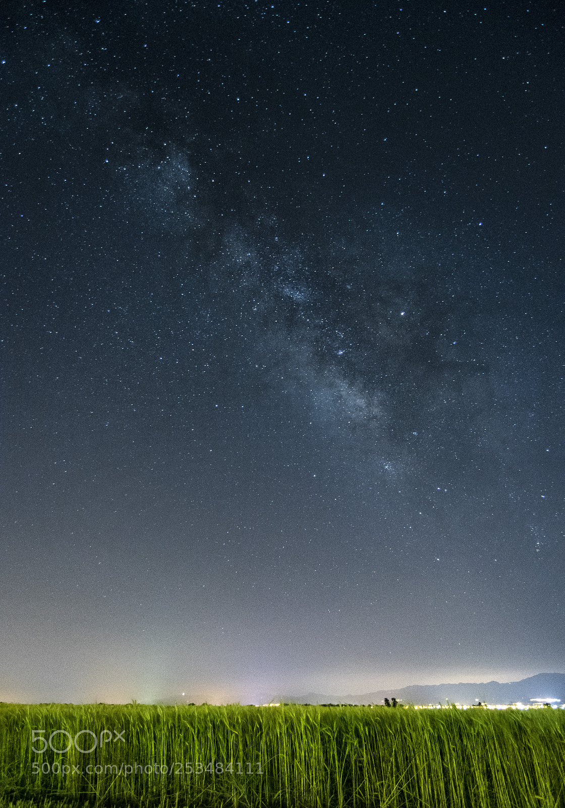Nikon D3300 sample photo. The milky way shining photography