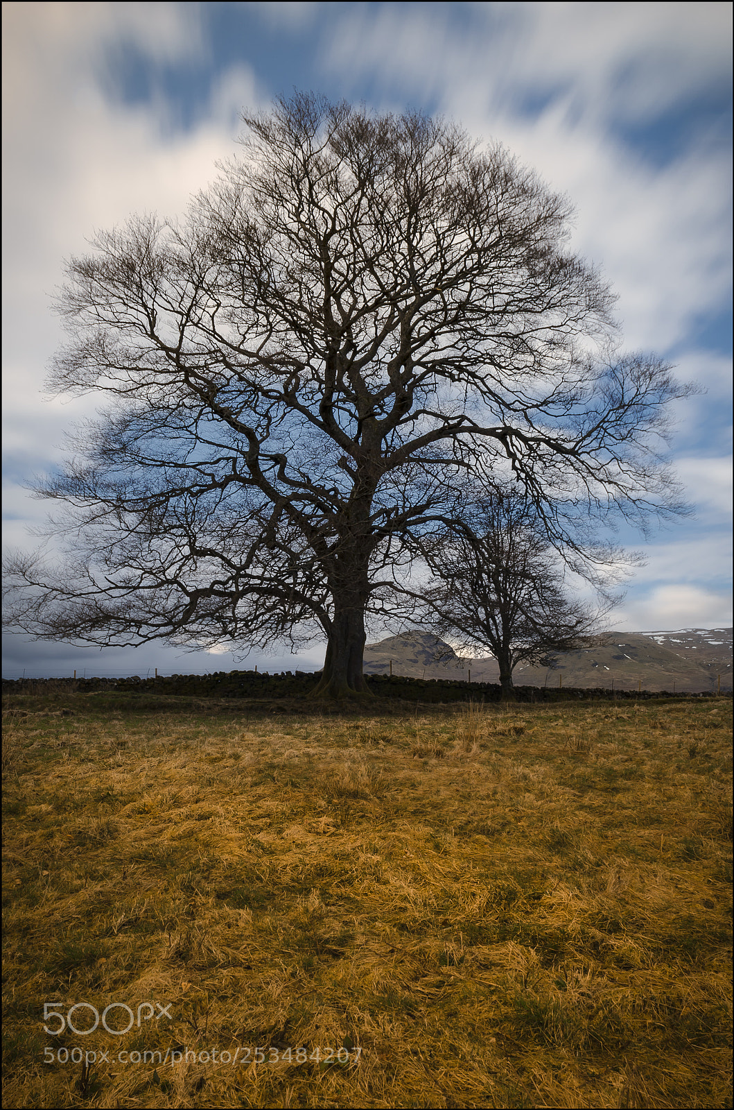 Nikon D7000 sample photo. Around the blanefield photography