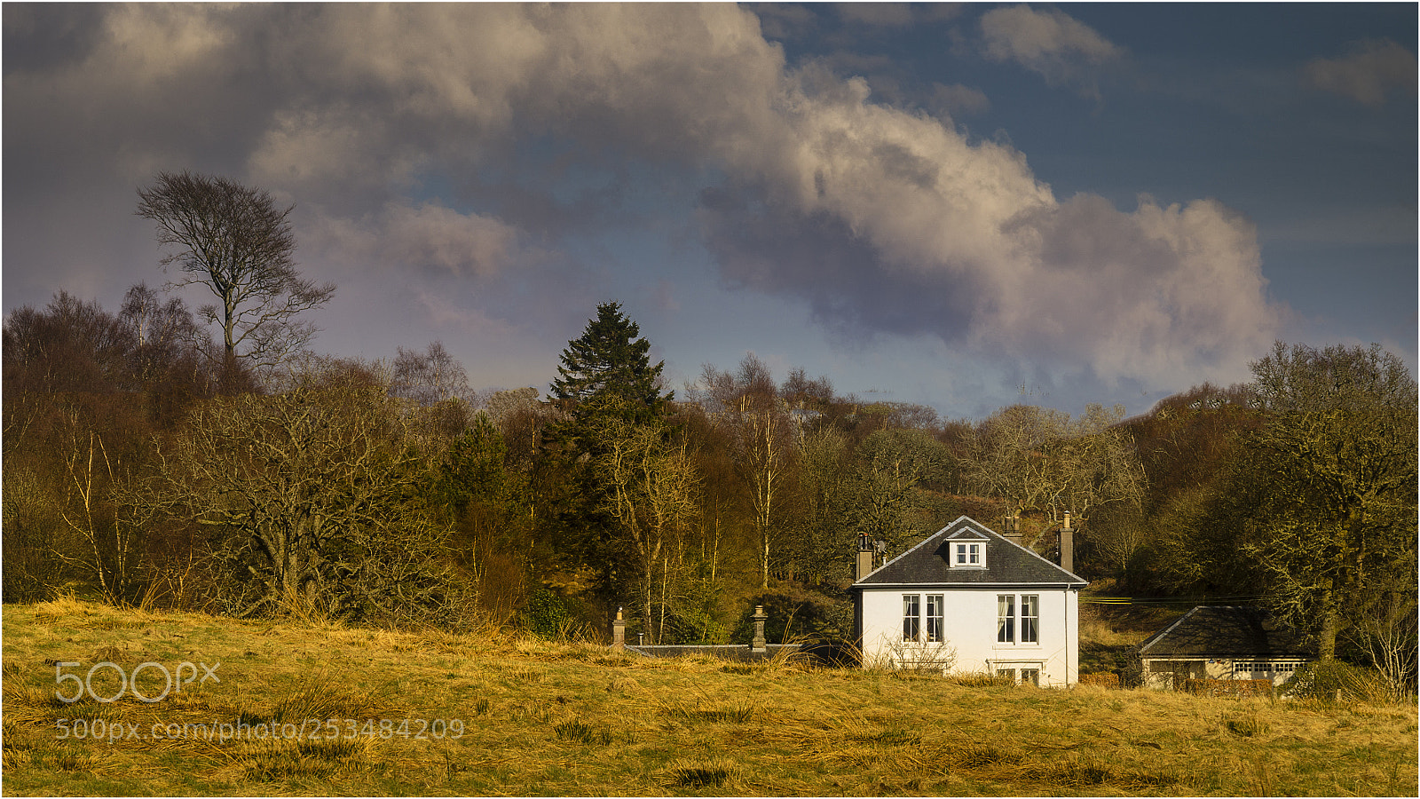 Nikon D7000 sample photo. Around the blanefield photography