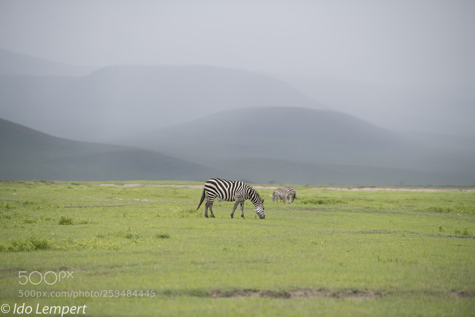 Nikon D850 sample photo. Calm photography