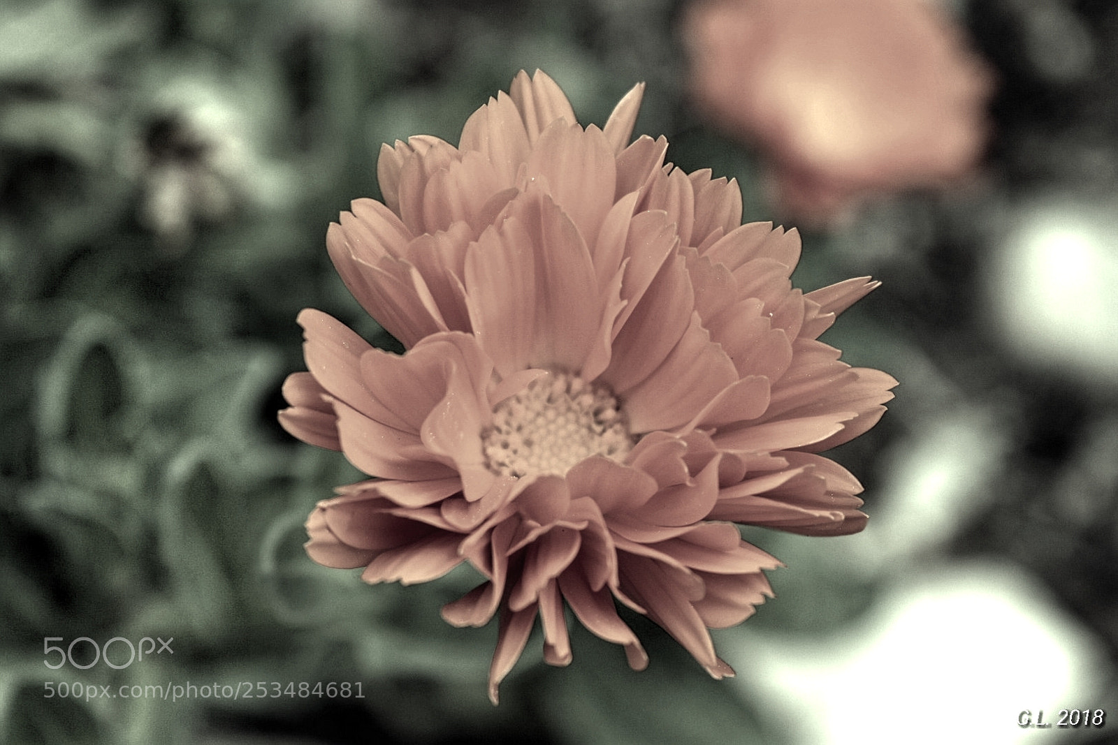 Nikon D3400 sample photo. Untitled photography