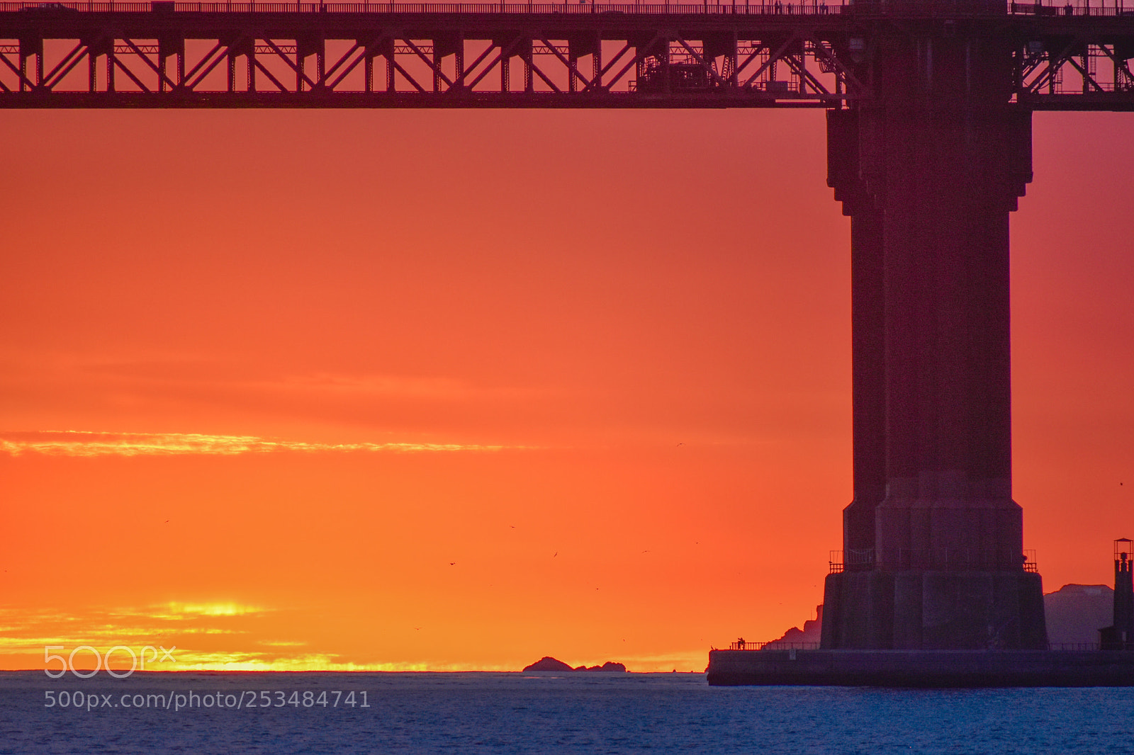 Nikon D5600 sample photo. Golden gate after golden photography