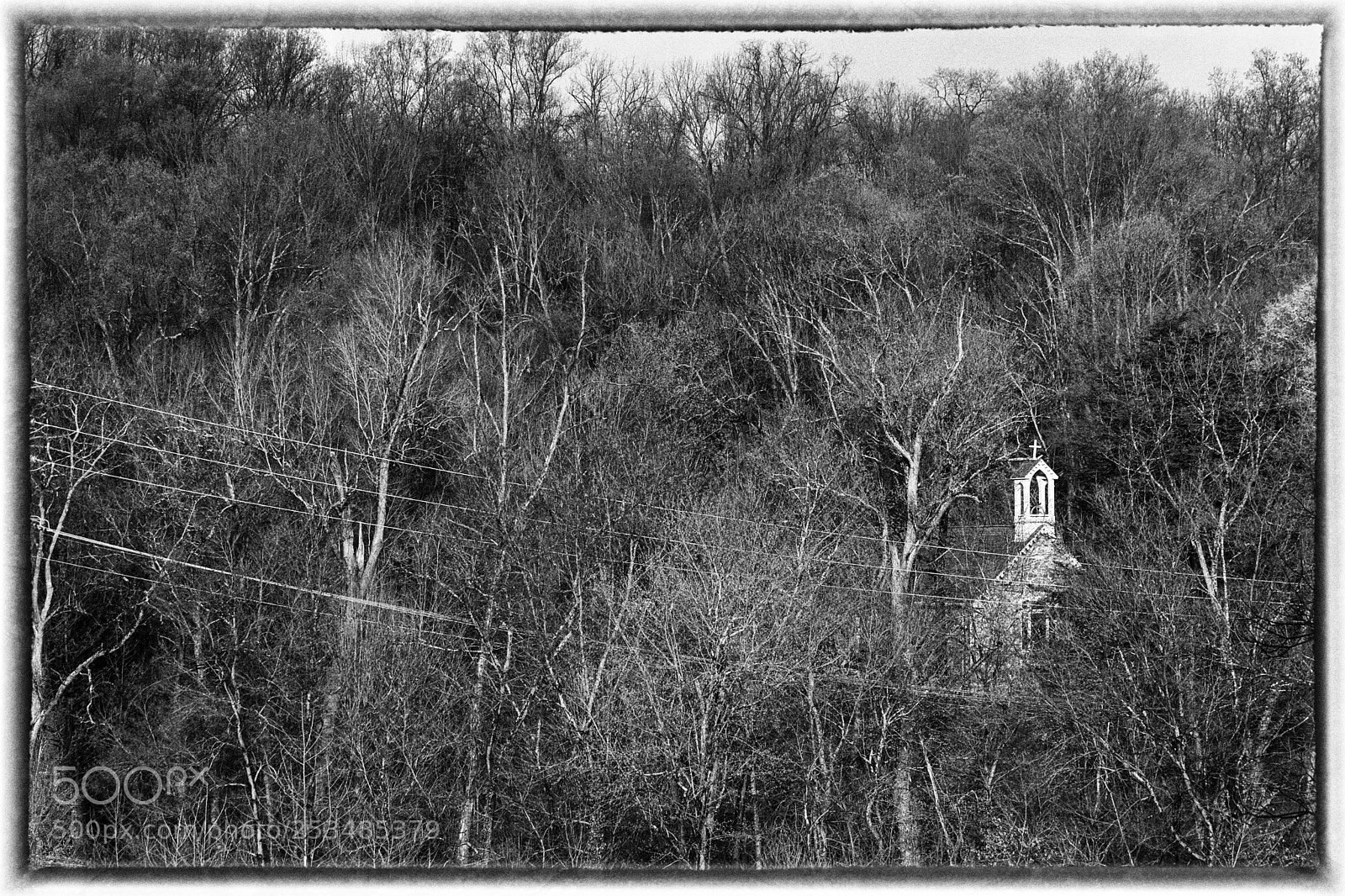 Canon EOS 600D (Rebel EOS T3i / EOS Kiss X5) sample photo. Thru the woods photography