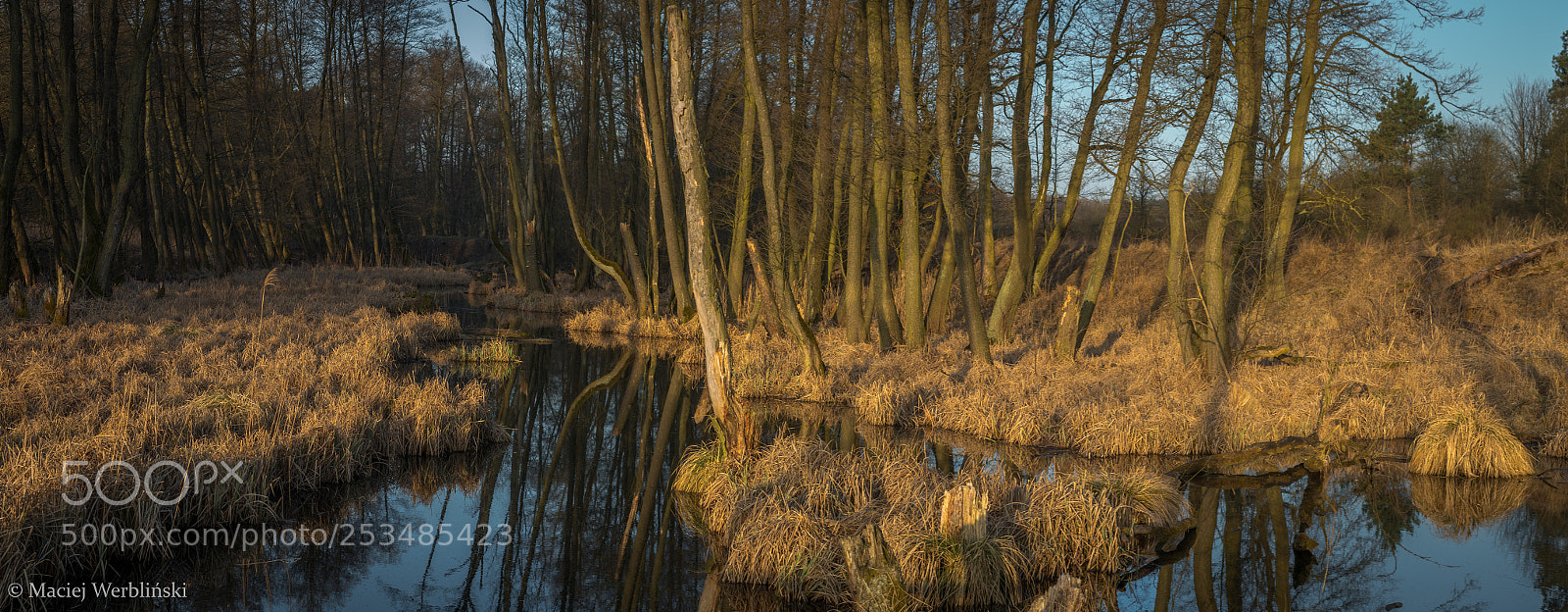 Pentax K-50 sample photo. Łysy młyn photography