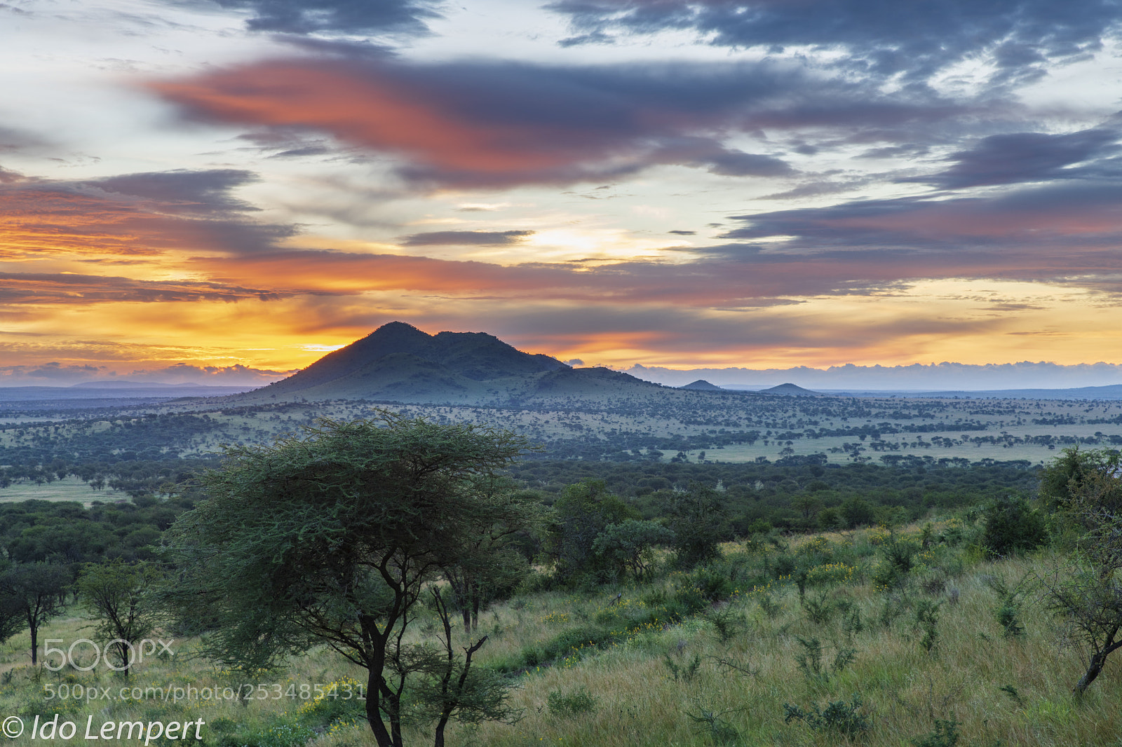 Nikon D850 sample photo. Sun rise at serengeti photography
