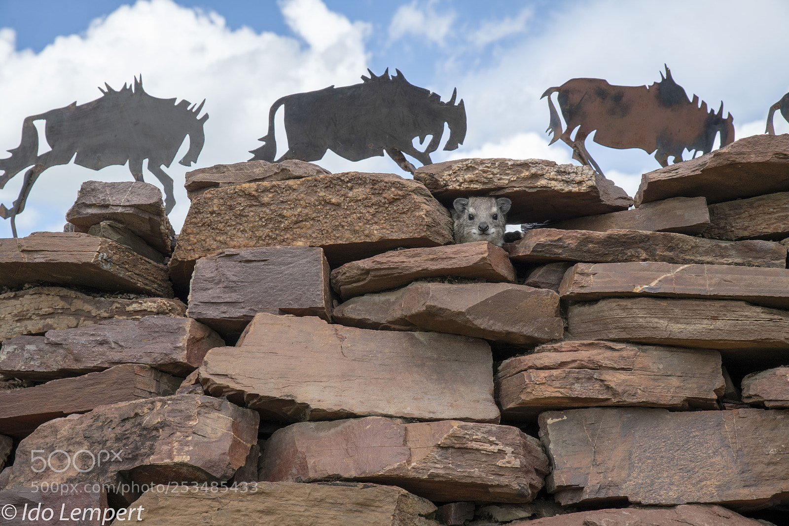 Nikon D850 sample photo. Where am i ? photography