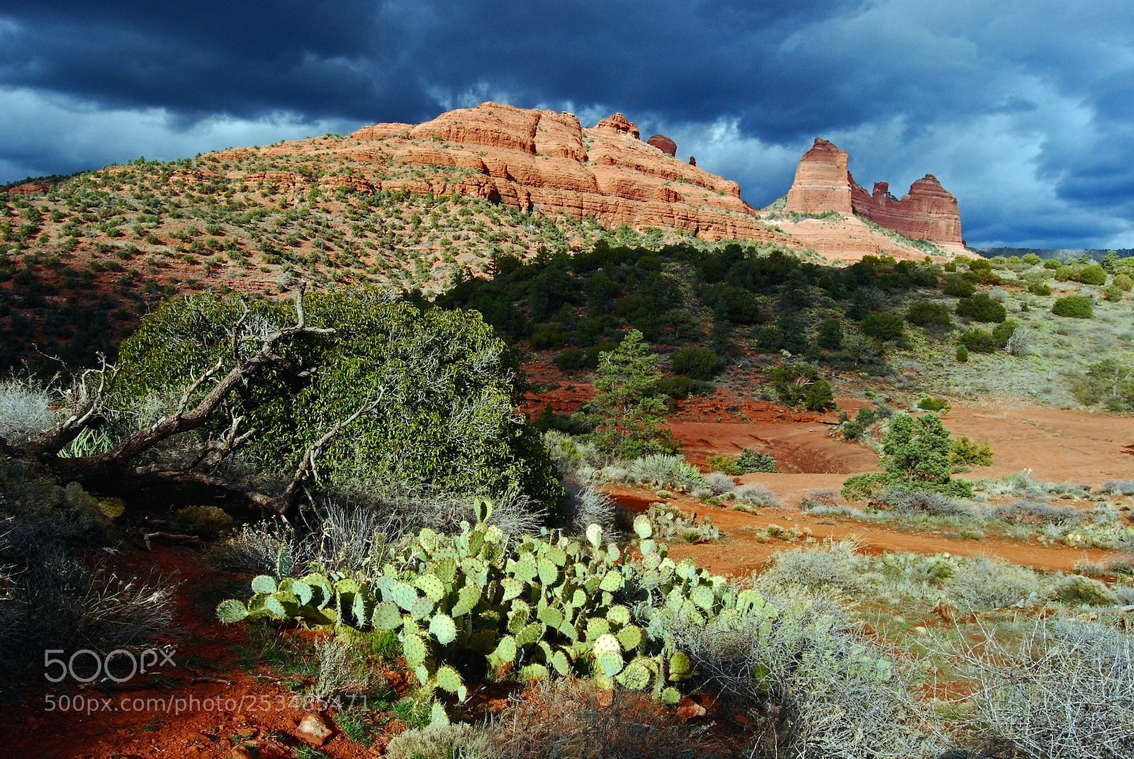 Nikon D60 sample photo. Sedona photography