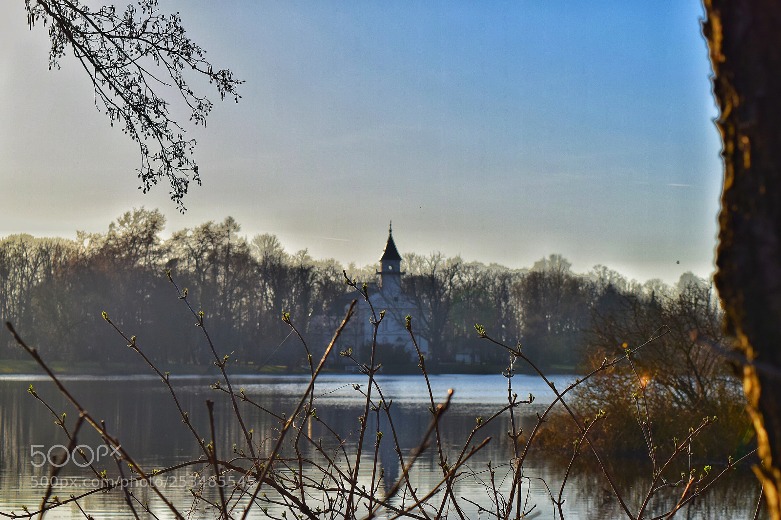 Nikon D5300 sample photo. Spring alive photography